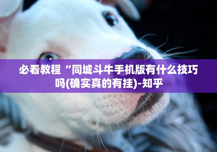 必看教程“同城斗牛手机版有什么技巧吗(确实真的有挂)-知乎