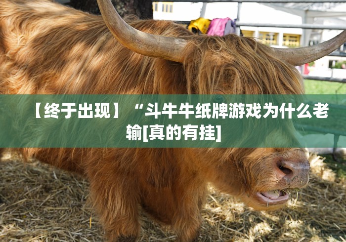 【终于出现】“斗牛牛纸牌游戏为什么老输[真的有挂]