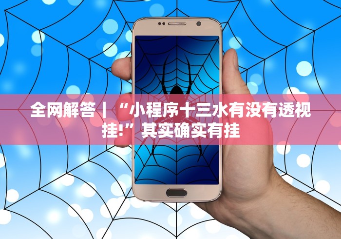 全网解答｜“小程序十三水有没有透视挂!”其实确实有挂