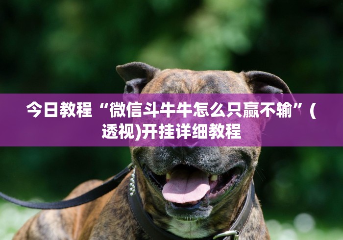 分析实测“海宁同城游三扣开挂能看出来吗”(果然有透视挂)