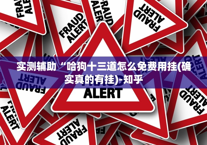 实测辅助“哈狗十三道怎么免费用挂(确实真的有挂)-知乎