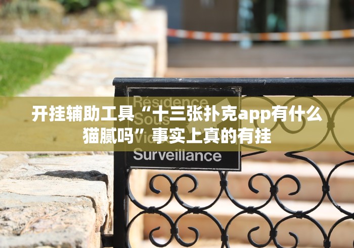 开挂辅助工具“十三张扑克app有什么猫腻吗”事实上真的有挂