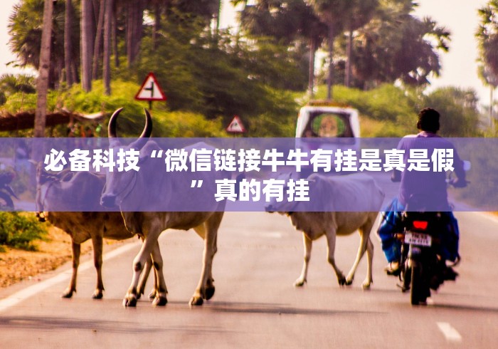 使用分享“郴州字牌天天输是怎么回事!详细开挂教程