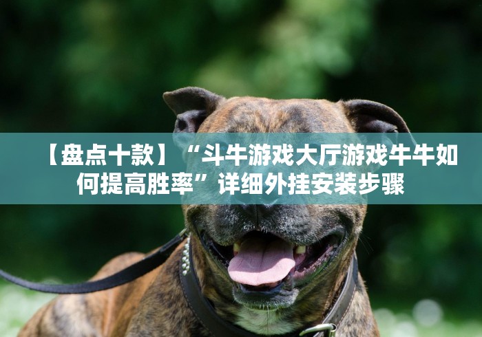 【盘点十款】“斗牛游戏大厅游戏牛牛如何提高胜率”详细外挂安装步骤