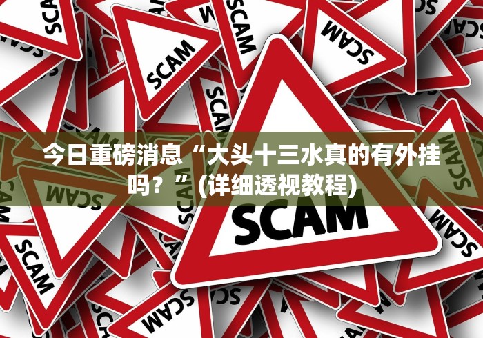 今日重磅消息“大头十三水真的有外挂吗？”(详细透视教程)