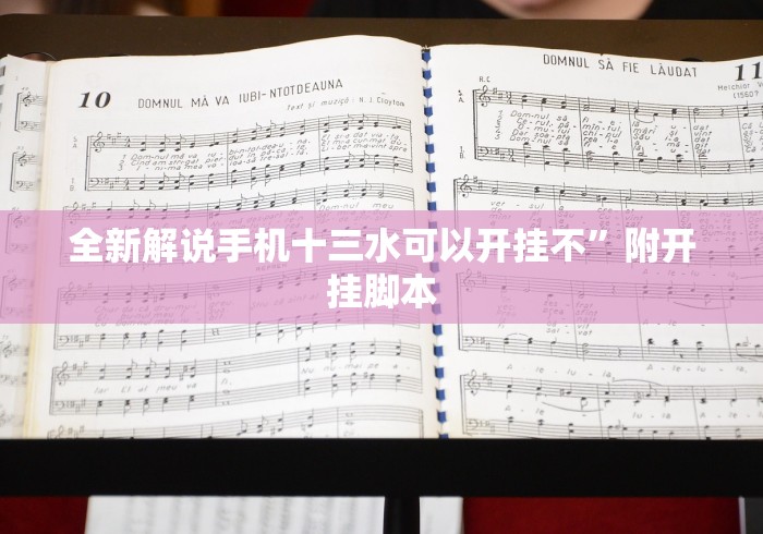 全新解说手机十三水可以开挂不”附开挂脚本