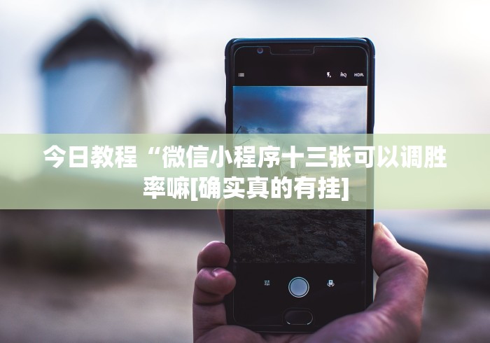 今日教程“微信小程序十三张可以调胜率嘛[确实真的有挂]