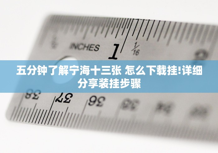 五分钟了解宁海十三张 怎么下载挂!详细分享装挂步骤