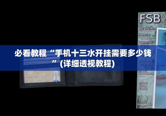 必看教程“手机十三水开挂需要多少钱”(详细透视教程)