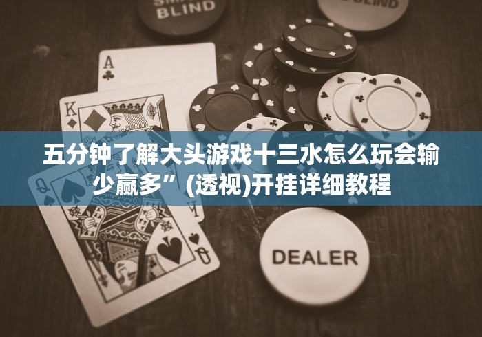 五分钟了解大头游戏十三水怎么玩会输少赢多”(透视)开挂详细教程