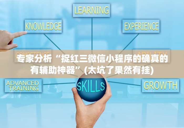 专家分析“捉红三微信小程序的确真的有辅助神器”(太坑了果然有挂)